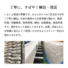 画像をギャラリービューアに読み込む, 米 5kg 新潟県産ミルキークイーン 令和5年産
