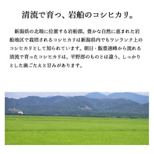 画像をギャラリービューアに読み込む, 新米 10kg 岩船産コシヒカリ 令和5年産

