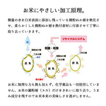 画像をギャラリービューアに読み込む, 米 10kg 無洗米新潟産コシヒカリ 令和5年産
