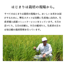 画像をギャラリービューアに読み込む, 米 15kg 新潟県産こしいぶき 令和6年産
