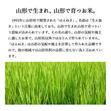 画像をギャラリービューアに読み込む, 米 20kg 山形県産はえぬき 令和5年産
