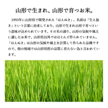 画像をギャラリービューアに読み込む, 新米 5kg 山形県産はえぬき 令和5年産
