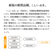画像をギャラリービューアに読み込む, 米 20kg 新潟県産こしいぶき 令和6年産

