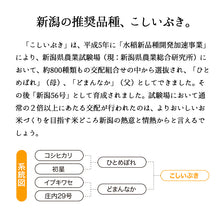 画像をギャラリービューアに読み込む, 米 15kg 新潟県産こしいぶき 令和6年産
