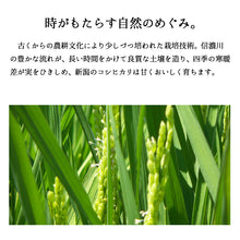 画像をギャラリービューアに読み込む, 米 5kg 新潟県産コシヒカリ 令和6年産
