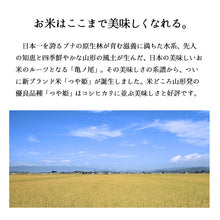 画像をギャラリービューアに読み込む, 米 20Kg 山形県産つや姫 令和6年産
