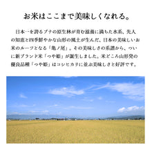 画像をギャラリービューアに読み込む, 米 15Kg 山形県産つや姫 令和6年産
