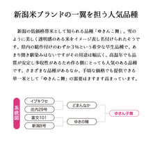 画像をギャラリービューアに読み込む, 米 新潟産ゆきん子舞 15kg 令和6年産
