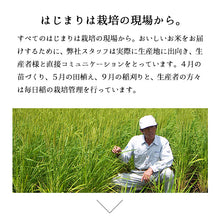 画像をギャラリービューアに読み込む, 米 5kg 新潟県産コシヒカリ 令和6年産
