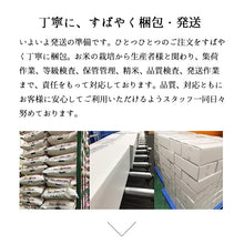 画像をギャラリービューアに読み込む, 米 5kg 新潟県産コシヒカリ 令和6年産
