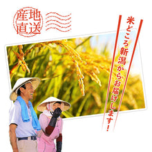 画像をギャラリービューアに読み込む, 米 15kg 新潟県産こしいぶき 令和6年産
