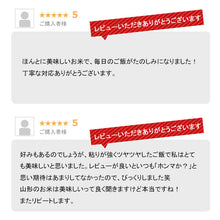 画像をギャラリービューアに読み込む, 米 20kg 山形県産コシヒカリ 令和5年産
